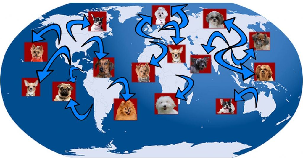 Mapa global de perros pequeños en el mundo
