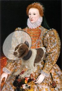 Retrato de Isabel I con perro y collar isabelino