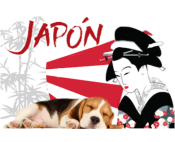 Perrito durmiendo sobre cartel de Japón