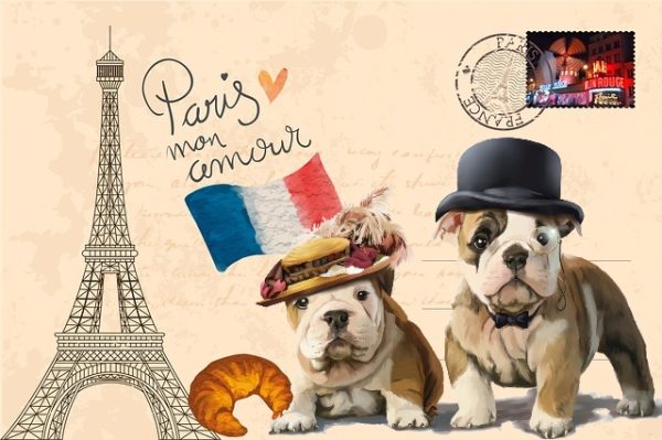 nombres franceses para perros y perras