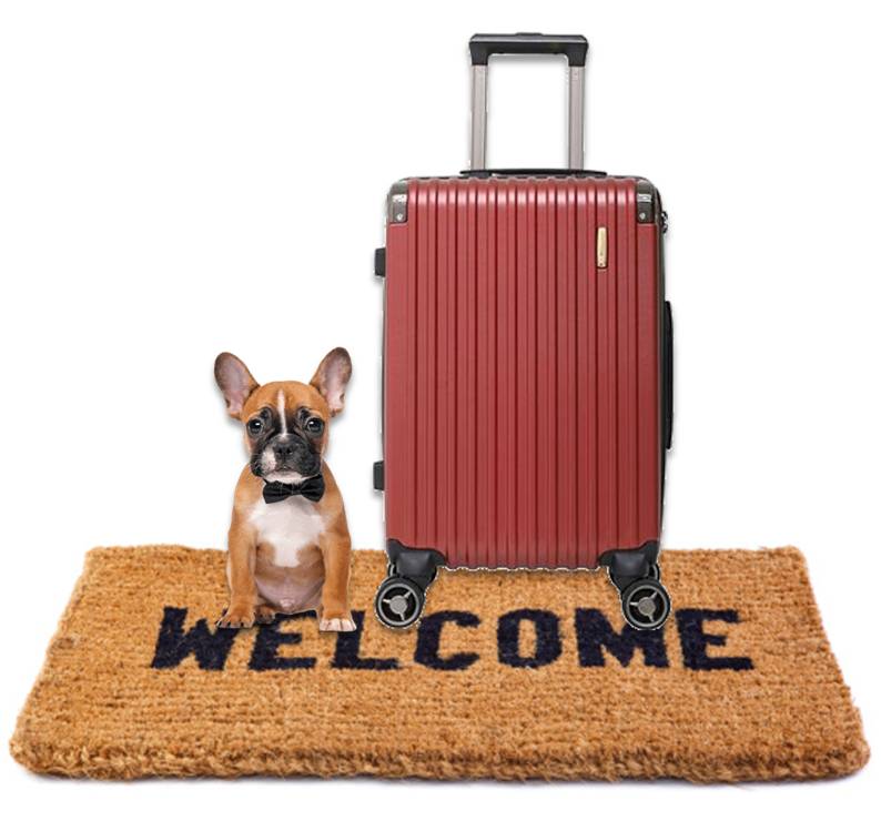 perro pequeño y maleta sobre felpudo de bienvenidos