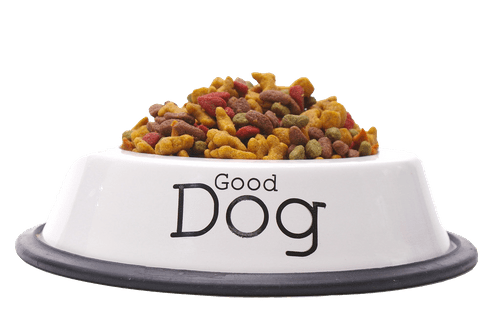 Plato con comida para perros